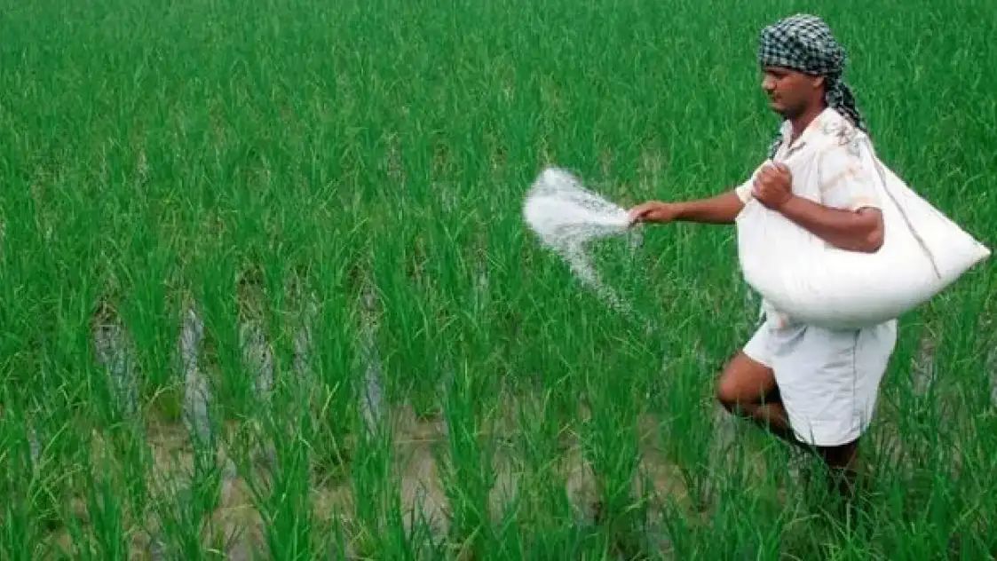 ଚାଷୀଙ୍କୁ ବଡ଼ ଉପହାର ଦେଲେ ମୋଦୀ ସରକାର, ଏହି ଯୋଜନାରେ ପ୍ରତିବର୍ଷ…..