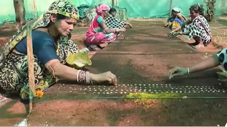 କୋରାପୁଟ କଫି ହେଉଛି ଓଡ଼ିଶାର ଗୌରବ: ପ୍ରଧାନମନ୍ତ୍ରୀ ମୋଦି