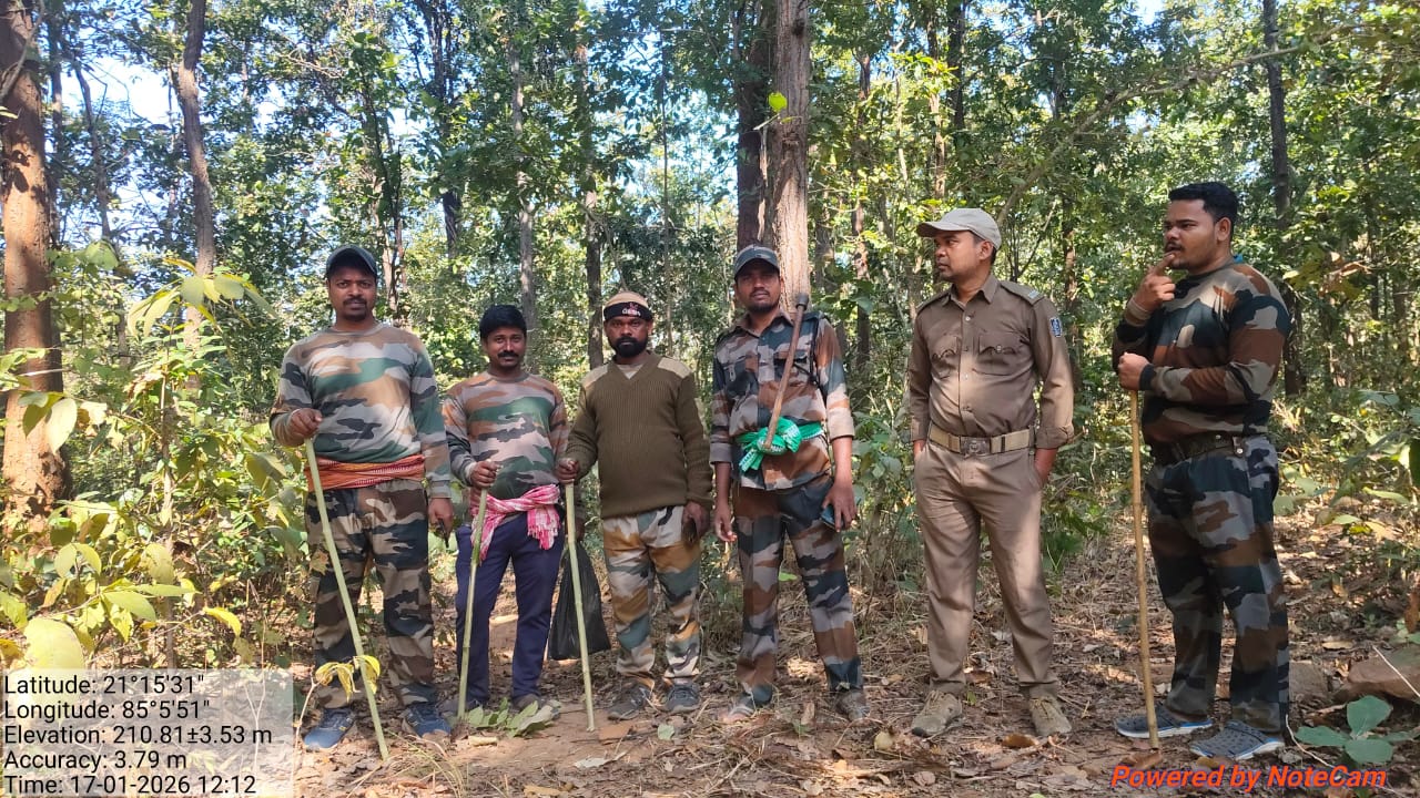 ଅନୁଗୋଳ ବନ ବିଭାଗର ସଂରକ୍ଷିତ ଜଙ୍ଗଲ ଅଞ୍ଚଳରେ କମ୍ବିଂ ଅପରେସନ୍