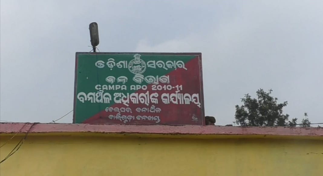 ବେଲଘର ବନାଞ୍ଚଳ: ଜଙ୍ଗଲ ରେ ହାତୀ ମୃତ୍ୟୁ ଘଟଣାକୁ ଚପାଇ ଦେବା ଅଭିଯୋଗରେ ରେଞ୍ଜର ନିଲମ୍ବିତ