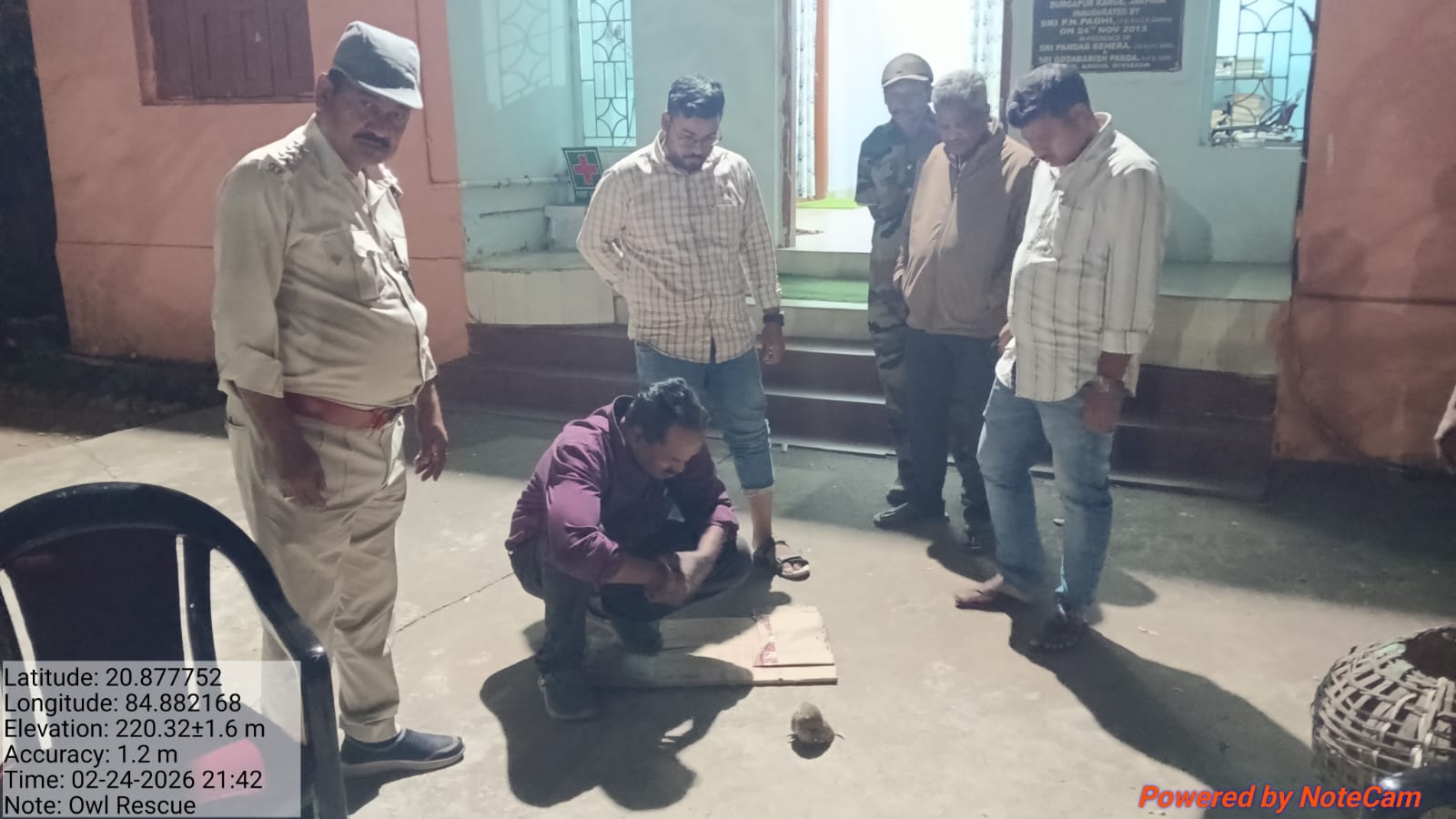 ଆହତ ପେଚାକୁ ଜରପଡ଼ା ରେଞ୍ଜ କାର୍ଯ୍ୟାଳୟକୁ ଆଣି କଲେ ଚିକିତ୍ସା
