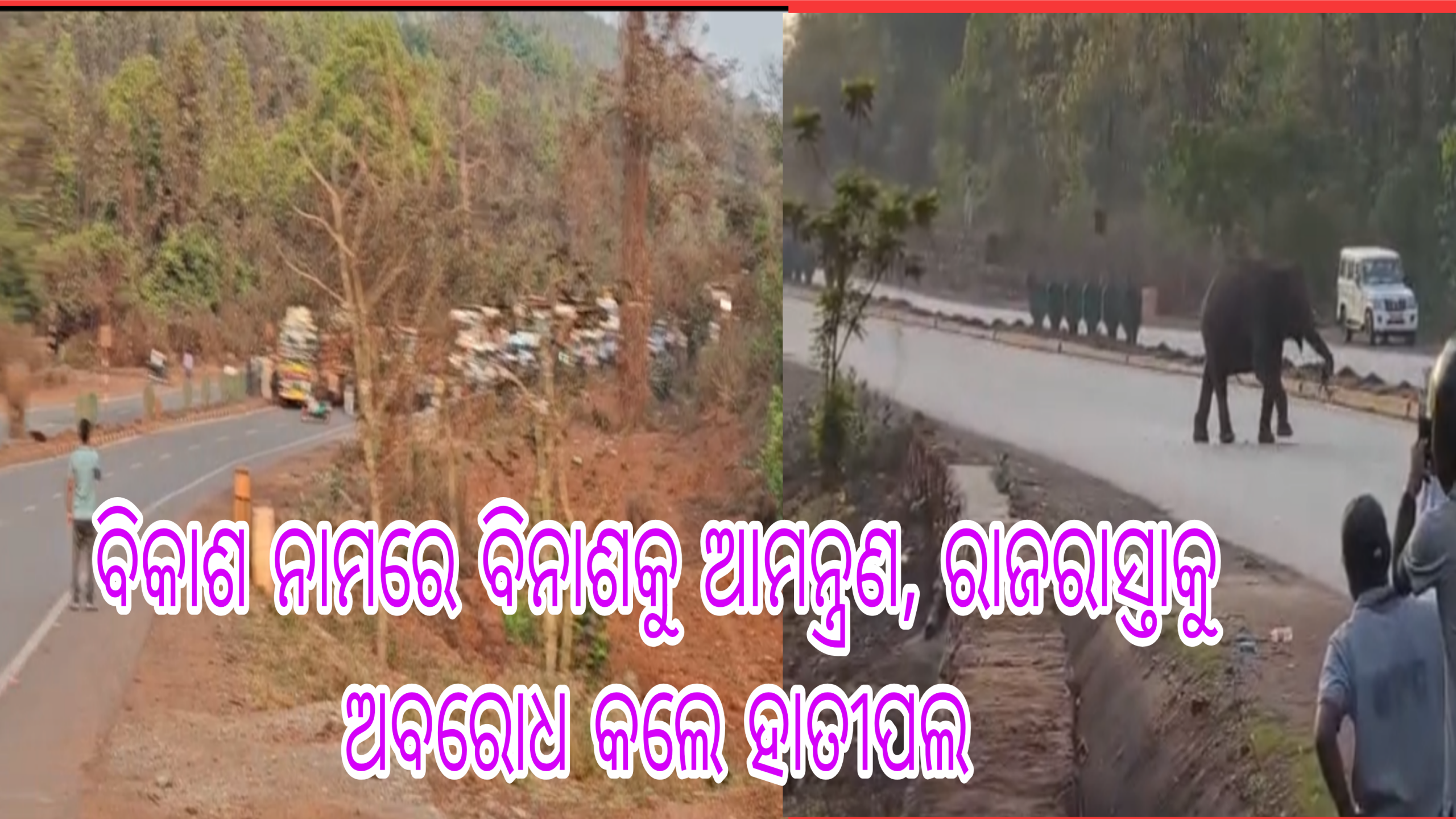 ବିକାଶ ନାମରେ ବିନାଶକୁ ଆମନ୍ତ୍ରଣ, ରାଜରାସ୍ତାକୁ ଅବରୋଧ କଲେ ହାତୀପଲ