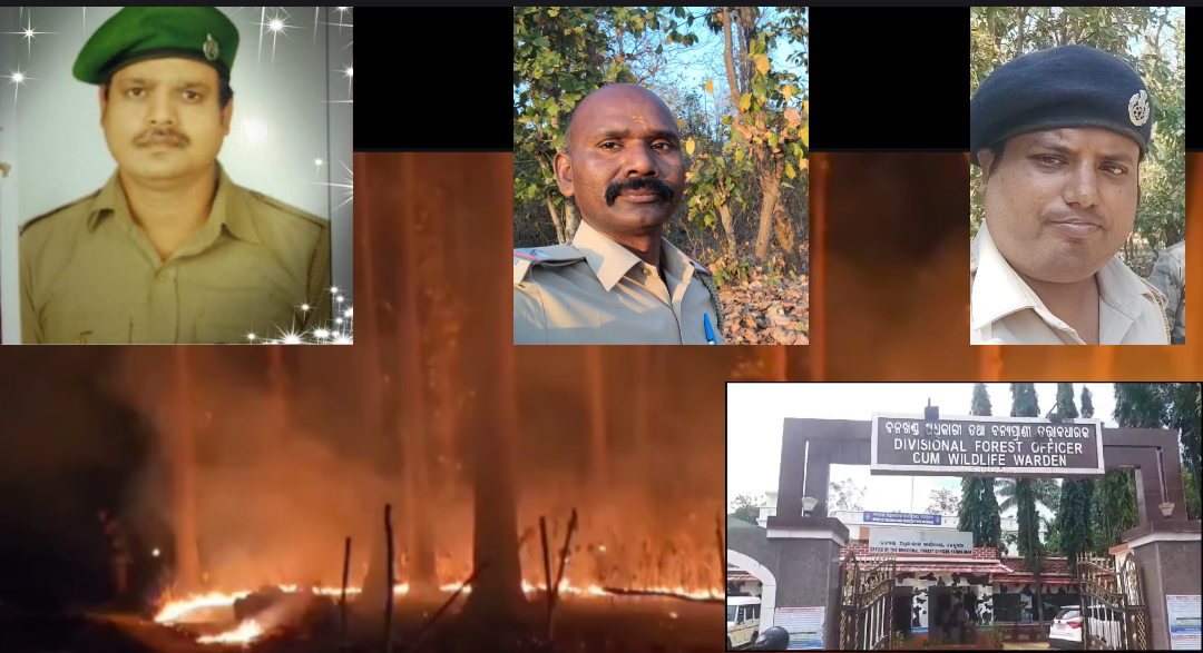 କେନ୍ଦୁଝର ଜଙ୍ଗଲ ନିଆଁରେ ବଳିପଡିଲା ୩ଜଣ ବନ କର୍ମଚାରୀଙ୍କ ଚାକିରୀ