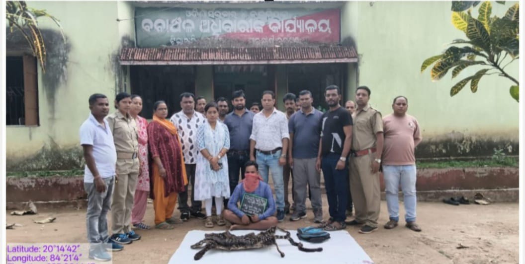 ବାଘ ଛାଲ ବିକ୍ରି କରିବା ଅଭିଯୋଗରେ ଜଣେ ଗିରଫ