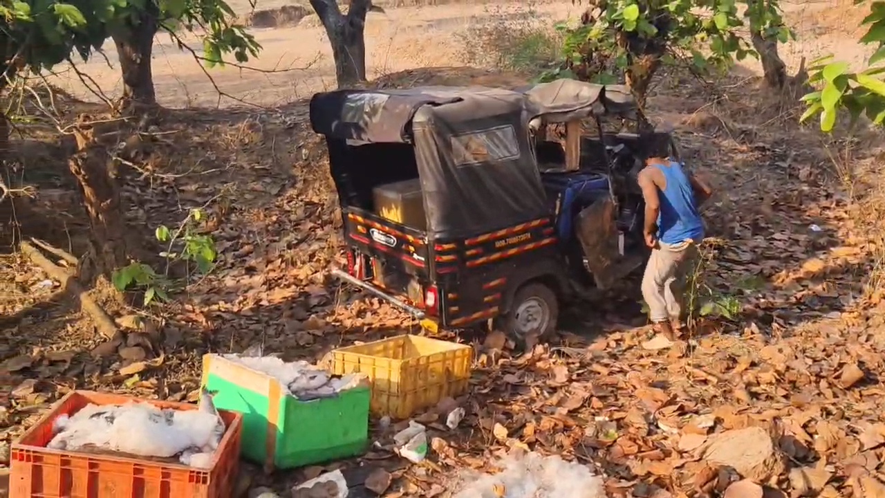 ଭାରସାମ୍ୟ ହରାଇ ଓଲଟିଲା ମାଛ ବୋଝେଇ ଅଟୋ