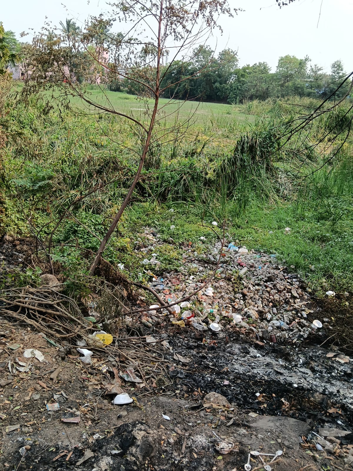 ରାଜୁଡ଼ା ଅମଳରୁ ନିର୍ମାଣ ହୋଇଥିବା ଚିତ୍ରକୂଟ ପୋଖରୀର ଉଦ୍ଧାର କେବେ!