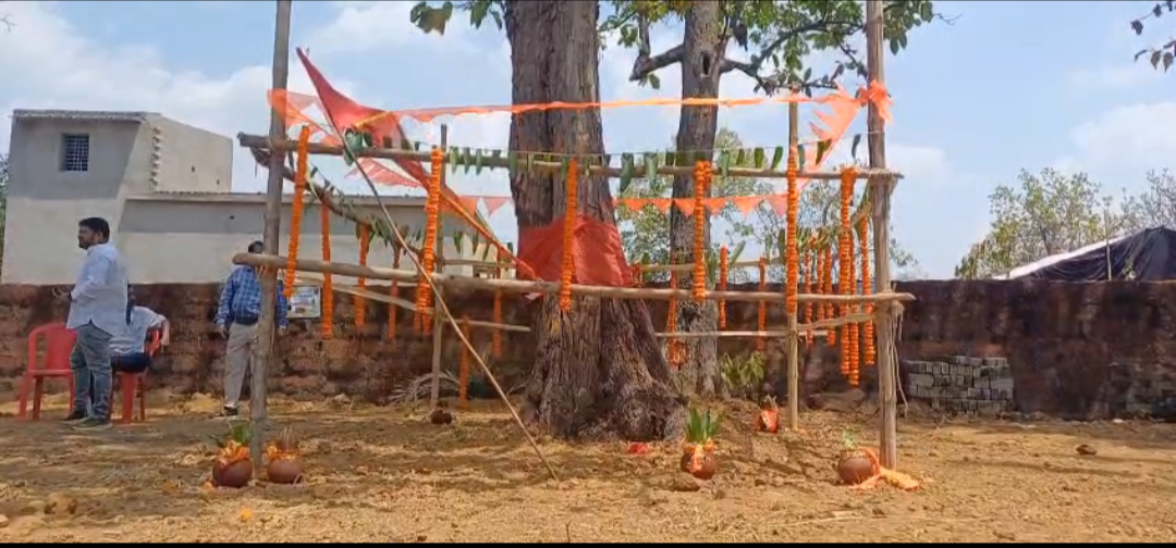 ନୂଆଦିଲ୍ଲୀ ପାଇଁ ପାଲଲହଡ଼ା ଠାରୁ ଯିବ ରଥକାଠ ଦାରୁ । ରୀତି ନୀତିରେ ଆରମ୍ଭ ହେଲା ହୋମଯଜ୍ଞ
