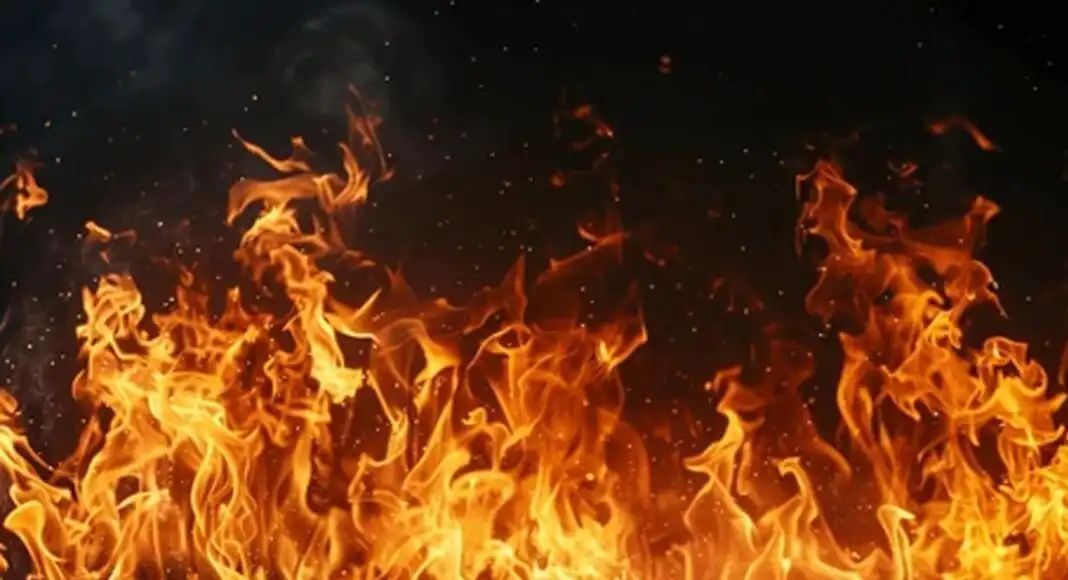 ଟାୟାର କାରଖାନାରେ ଭୟାବହ ଅଗ୍ନିକାଣ୍ଡ