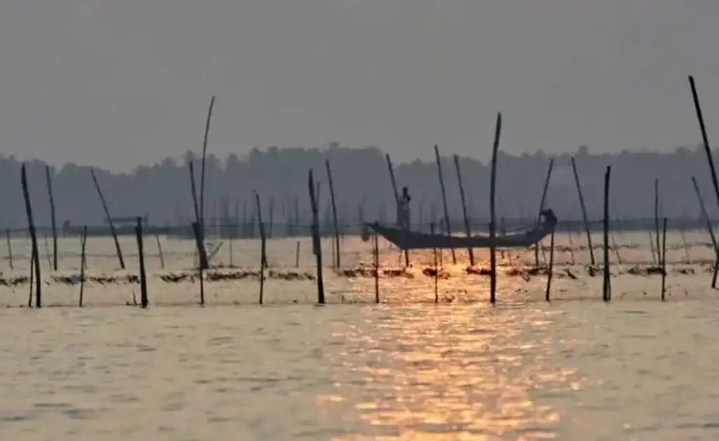 ଚିଲିକାରୁ ବେଆଇନ ଘେରି ଉଚ୍ଛେଦ