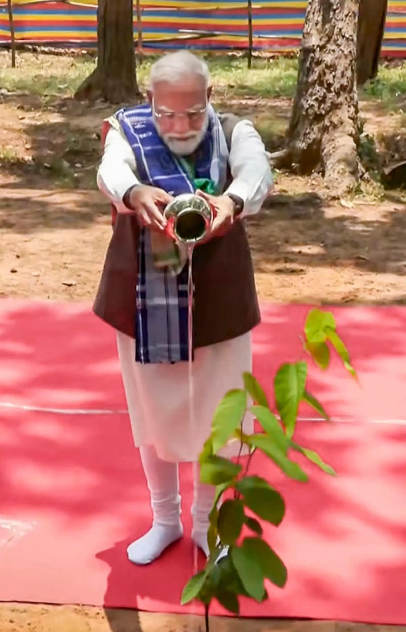 ସ୍କୁଲରେ ବୃକ୍ଷରୋପଣ କଲେ ପ୍ରଧାନମନ୍ତ୍ରୀ