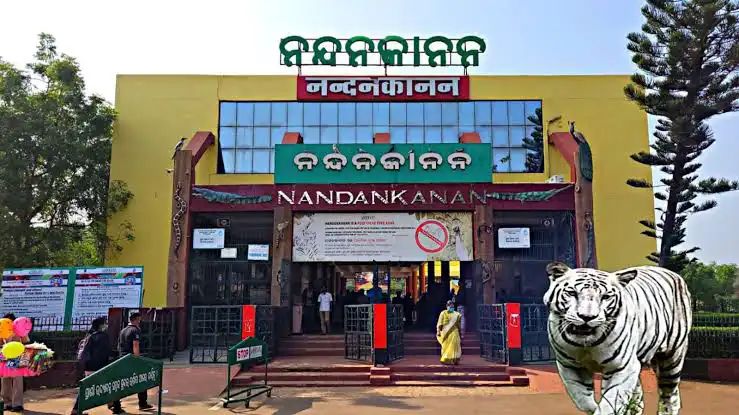 ନନ୍ଦନକାନନରେ ଜନ୍ମିତ ଶାଗୁଣା ଶାବକର ମୃତ୍ୟୁ