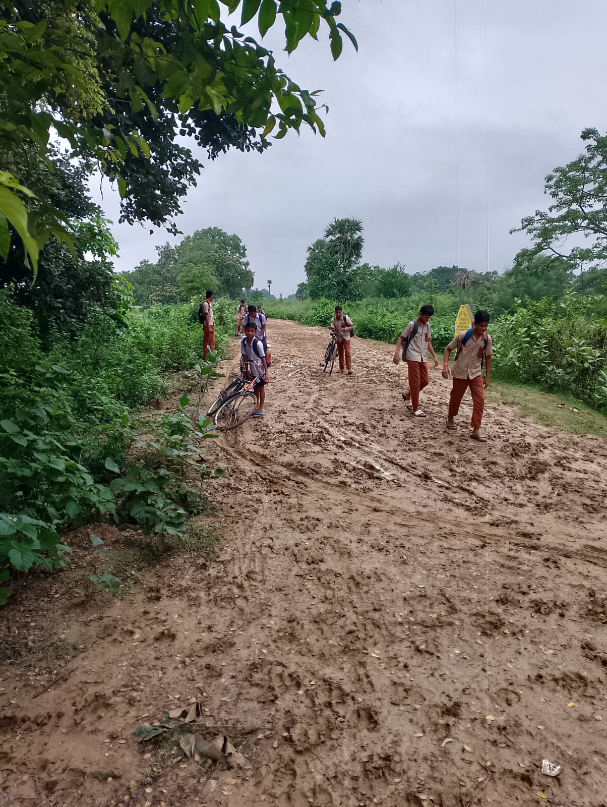 ଢେଙ୍କାନାଳରେ ବିକାଶର ବାସ୍ତବ ଚିତ୍ର: ରାସ୍ତା ଅଭାବରୁ ଶିକ୍ଷାରେ ବାଧା, ପ୍ରଶାସନ ବିରୋଧରେ ଅଭିଯୋଗ