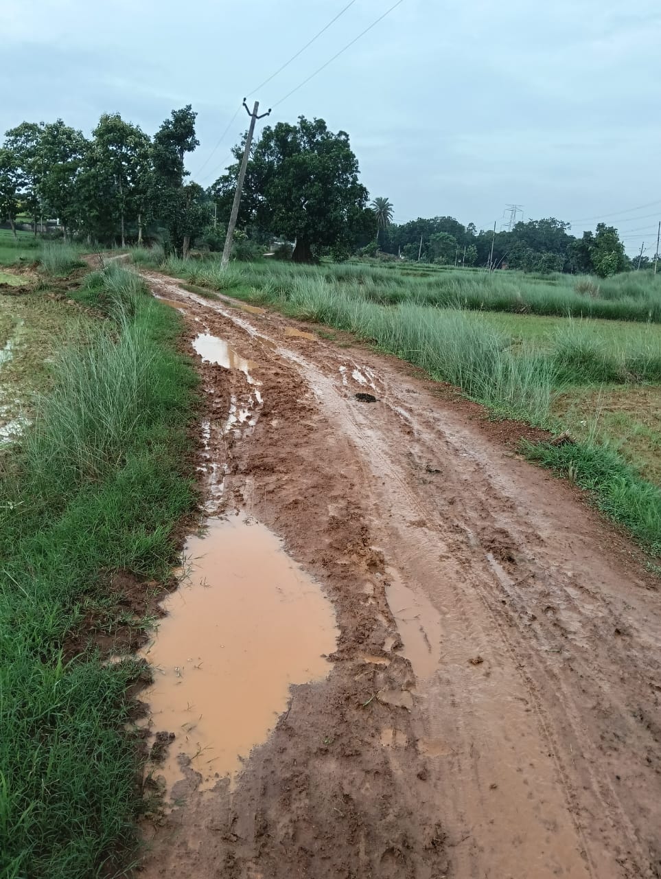 ଜନଶୁଣାଣିରେ ଅଭିଯୋଗ ପରେ ବି ଫଳ ଶୂନ, ରାସ୍ତା ସମସ୍ୟାରେ ଅସନ୍ତୁଷ୍ଟ ଗ୍ରାମବାସୀ