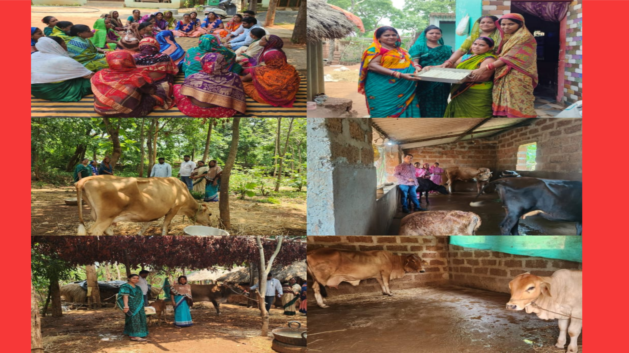 ଦୁଗ୍ଧ ବିପ୍ଳବର ନୂଆ ଠିକଣା ଢେଙ୍କାନାଳ: ‘ମିଲ୍କ ଭିଲେଜ୍’ କାର୍ଯ୍ୟକ୍ରମ ବଦଳାଇଲା ଶହ ଶହ ପରିବାରର ଜୀବନ