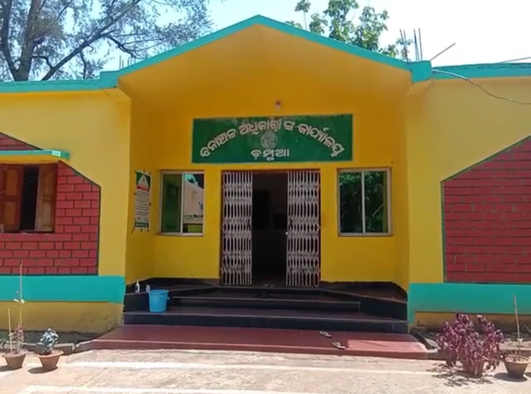 କେନ୍ଦୁଝର ଜିଲ୍ଲାରେ ଦନ୍ତାହାତୀ ଆକ୍ରମଣରେ ଜଣେ ବୃଦ୍ଧମୃତ