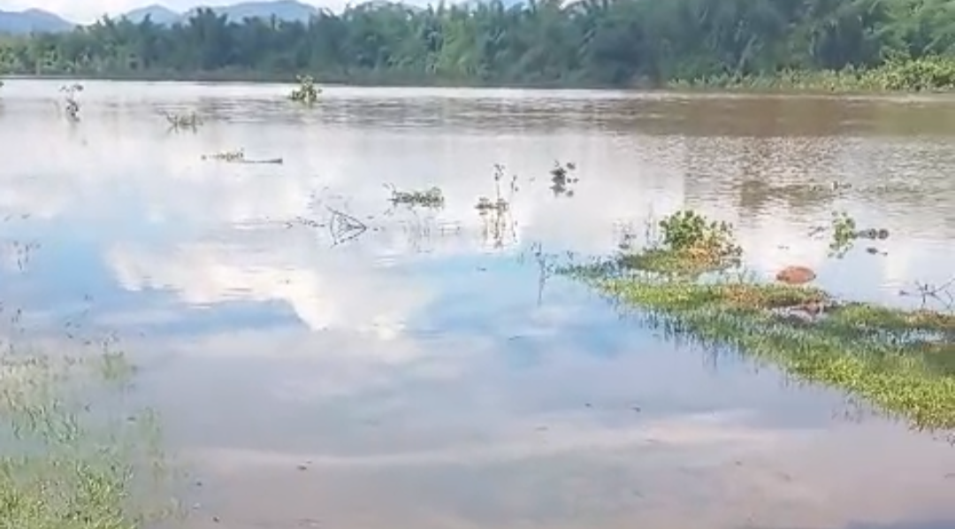 ସାତକୋଶିଆରେ ଜଳବନ୍ଦୀ
