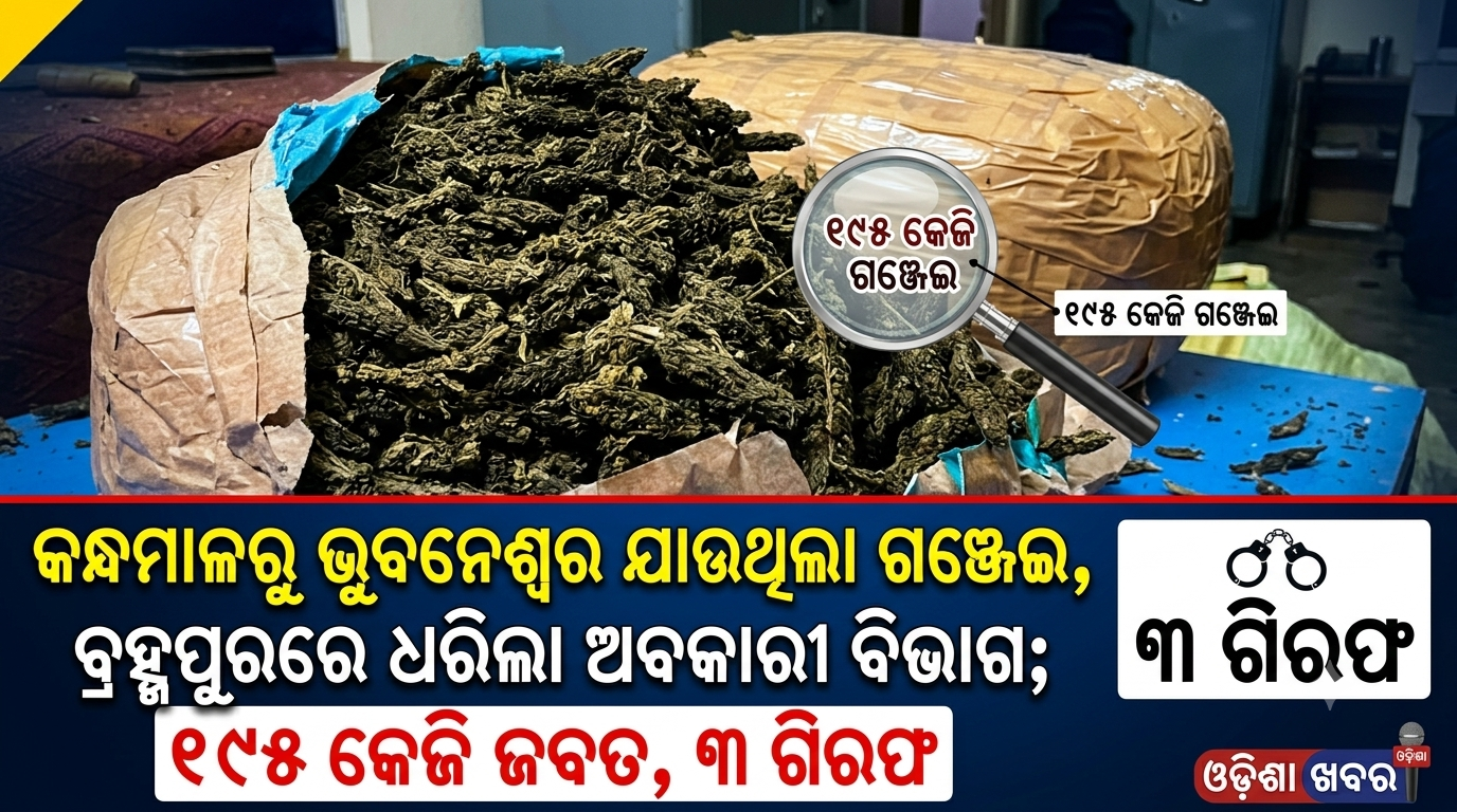 କନ୍ଧମାଳରୁ ଭୁବନେଶ୍ୱର ଯାଉଥିଲା ଗଞ୍ଜେଇ, ବ୍ରହ୍ମପୁରରେ ଧରିଲା ଅବକାରୀ ବିଭାଗ; ୧୯୫ କେଜି ଜବତ, ୩ ଗିରଫ