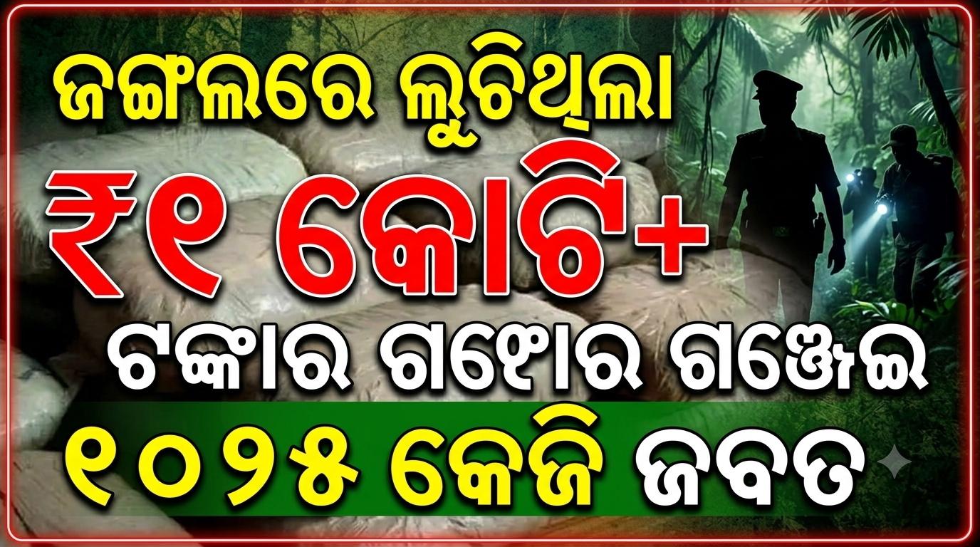 ଜଙ୍ଗଲରେ ଲୁଚିଥିଲା ୧ କୋଟିରୁ ଅଧିକ ଟଙ୍କାର ଗଞ୍ଜେଇ, ୧୦୨୫ କେଜି ଜବତ