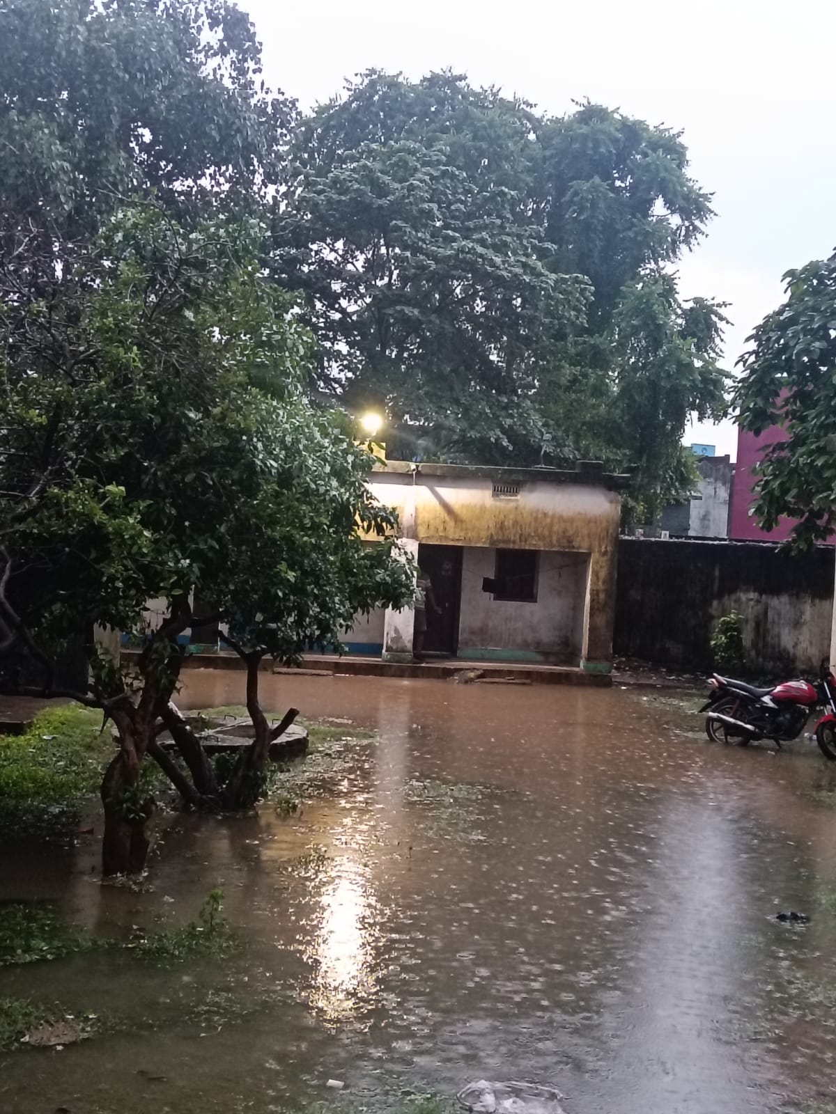 ବର୍ଷାରେ ଭିଜୁଛି ତାଳଚେର