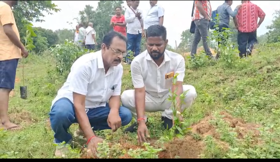 ବିଷ୍ନୁପ୍ରିୟା ସେବା ସମିତି ପକ୍ଷରୁ ଚାରା ରୋପଣ