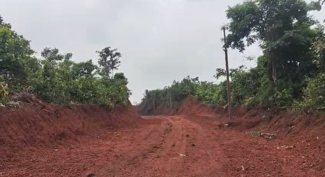 କିଏ କାଟି ଖାଇଗଲା ଜଙ୍ଗଲ ଓ ପାହାଡ କାହା ଦୟାରେ ଓ କାହା ସ୍ୱାର୍ଥରେ ଏ କାର୍ଯ୍ୟ