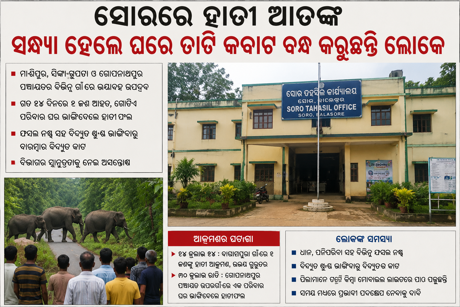ସୋରରେ ହାତୀ ଉପଦ୍ରବ ଚରମରେ: ସନ୍ଧ୍ୟା ହେଲେ ଘରେ ବନ୍ଦୀ ଜୀବନ, ଭୟରେ କଟୁଛି ରାତି