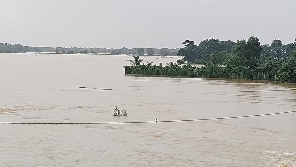 ଭଦ୍ରକରେ ବନ୍ୟାର ଭୟଙ୍କର ରୂପ: ୧.୦୭ ଲକ୍ଷରୁ ଅଧିକ ଲୋକ ସ୍ଥାନାନ୍ତର
