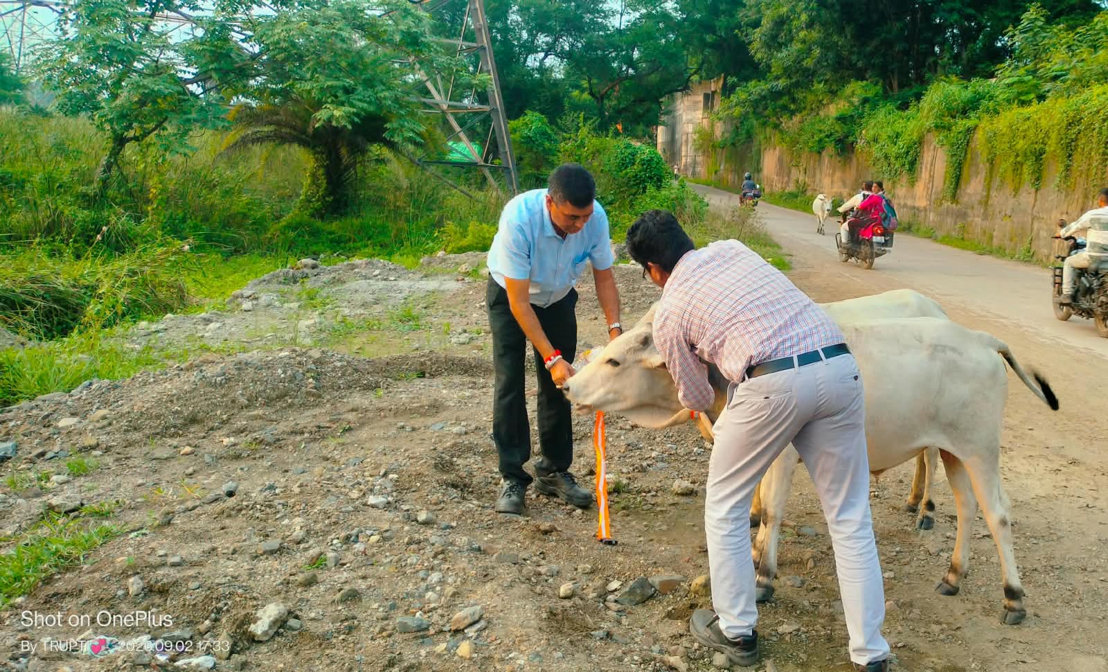 ବୁଲାଗୋରୁଙ୍କ ସୁରକ୍ଷା ପାଇଁ ଟାଟା ଷ୍ଟିଲ୍ ମେରାମଣ୍ଡଳୀ କର୍ମଚାରୀଙ୍କ ପକ୍ଷରୁ ଅଭିନବ ପ୍ରୟାସ