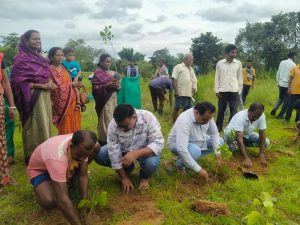 ଏକ ପେଡ୍ ମା କେ ନାମ୍ ୩.୦’: ଗୋଟିଏ ଦିନରେ ଓଡ଼ିଶାରେ ୪୭ ଲକ୍ଷରୁ ଅଧିକ ଚାରାରୋପଣ