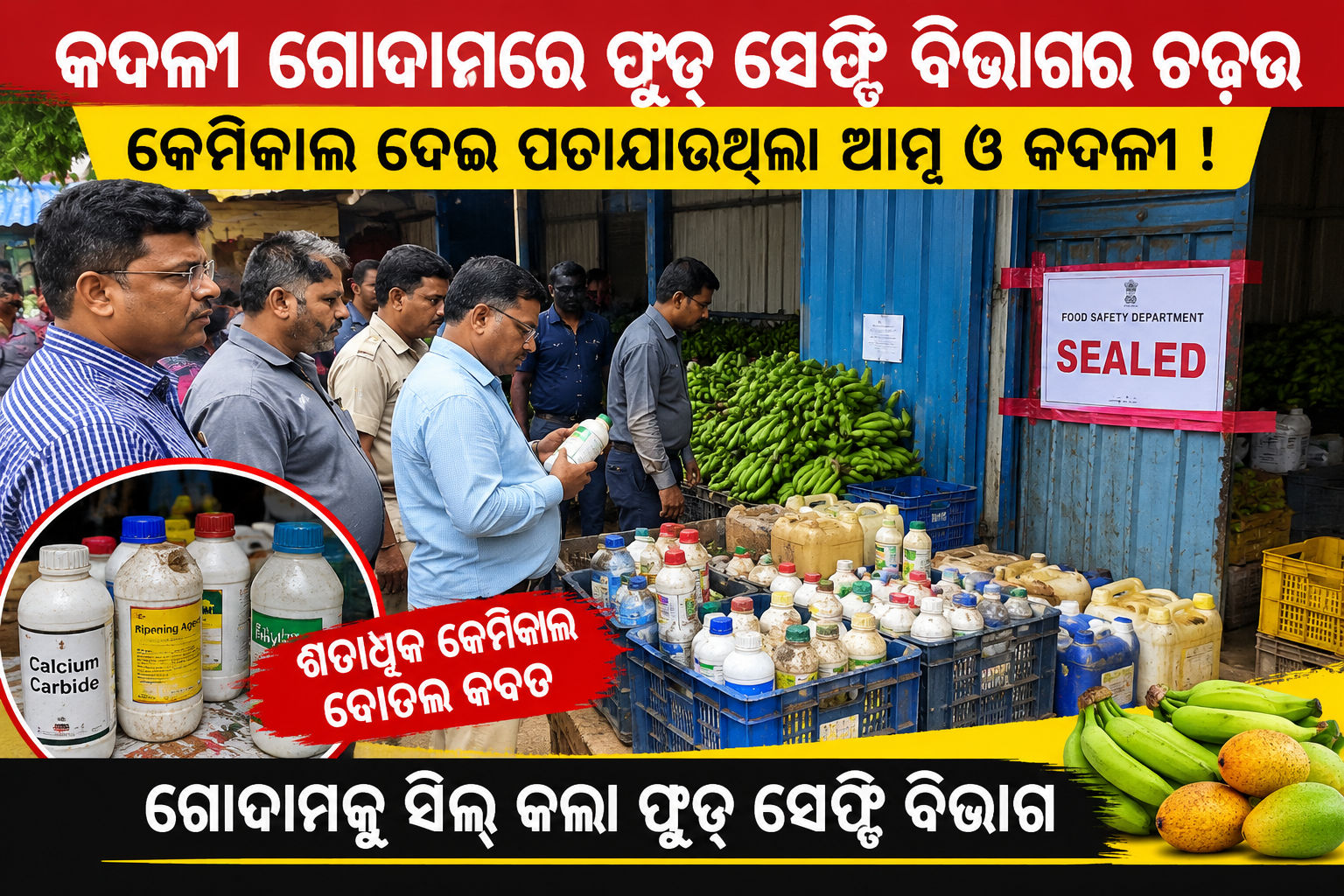 କଦଳୀ ଗୋଦାମରେ ଫୁଡ୍ ସେଫ୍ଟି ବିଭାଗର ଚଢ଼ଉ, କେମିକାଲ ଦେଇ ପଚାଯାଉଥିଲା ଆମ୍ବ ଓ କଦଳୀ! ଶତାଧିକ କେମିକାଲ ବୋତଲ ଜବତ, ଗୋଦାମ ସିଲ୍