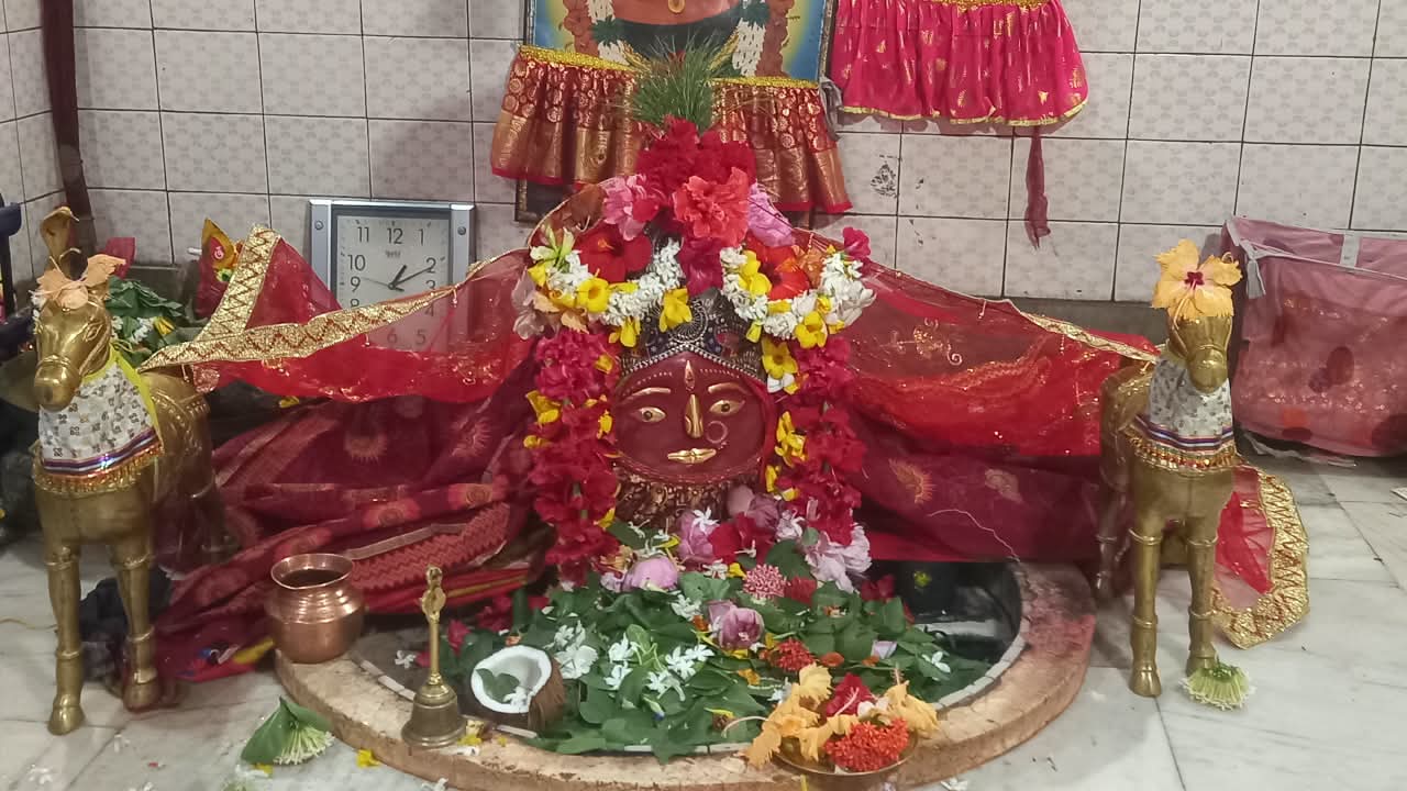 ମା’ ତାରେଣୀଙ୍କ ପୀଠରେ ଶାରଦୀୟ ନବରାତ୍ର ପୂଜା, ନବମ ଦିବସରେ ସିଦ୍ଧିଦାତ୍ରୀ ଦେବୀ ବେଶରେ ଦର୍ଶନ ଦେଲେ ମା’