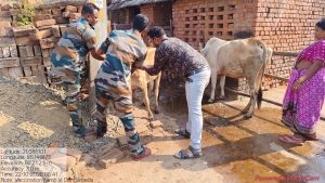 ଡାଙ୍ଗରବେଡ଼ାରେ ଛେଳିଙ୍କୁ ୨୦୦ ଡୋଜ୍ ଟିକାକରଣ, ପଶୁସମ୍ପଦ ସୁରକ୍ଷା ପାଇଁ ଅନୁଗୋଳ ବନଖଣ୍ଡର ପଦକ୍ଷେପ