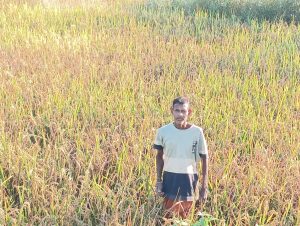 ସମ୍ବଲପୁର ଜିଲ୍ଲା ଜମନକିରା ବ୍ଲକ ଫାଶୀମାଲ ଅଞ୍ଚଳ ରେ ମରୁଡ଼ି ହେବାର ଜଳ ଜଳ ହୋଇ ଦିଶୁଛି