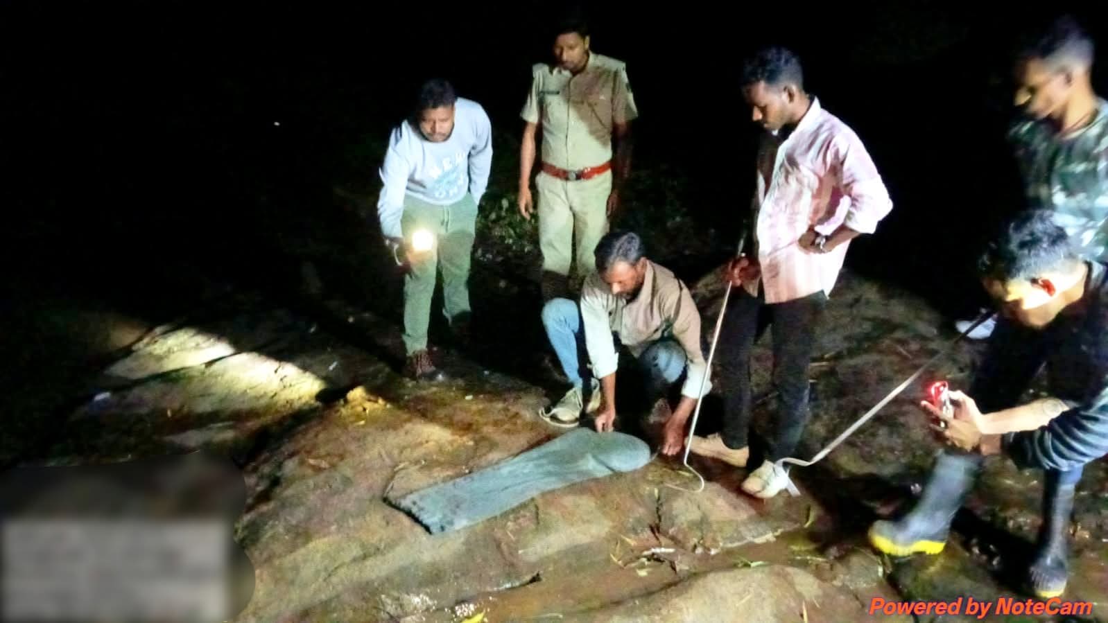 ରଗୁଡ଼ିଆପଡ଼ାରୁ ଅହିରାଜ ଉଦ୍ଧାର, ସୁରକ୍ଷିତ ଭାବେ ଜଙ୍ଗଲରେ ଛଡ଼ାଗଲା