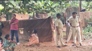 ଘରୋଇକଳିର କରୁଣ ପରିଣତି,ଶଳାର ଆକ୍ରମଣରେ ଭିଣେଇର ମୃତ୍ୟୁ