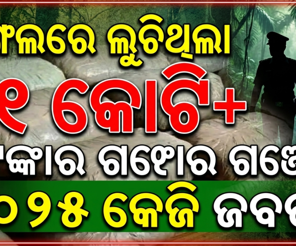 ଜଙ୍ଗଲରେ ଲୁଚିଥିଲା ୧ କୋଟିରୁ ଅଧିକ ଟଙ୍କାର ଗଞ୍ଜେଇ, ୧୦୨୫ କେଜି ଜବତ