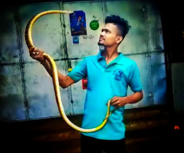 ସାପ ଧରାଳି ସୂର୍ଯ୍ୟକାନ୍ତଙ୍କ ଜୀବନ କାହାଣୀ