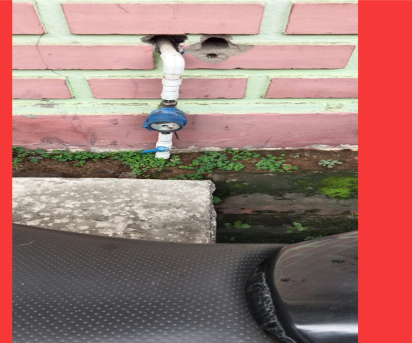 ଦୃର୍ବୁତମାନେ ଲୁଟିନେଲେ ପାଣିମିଟର