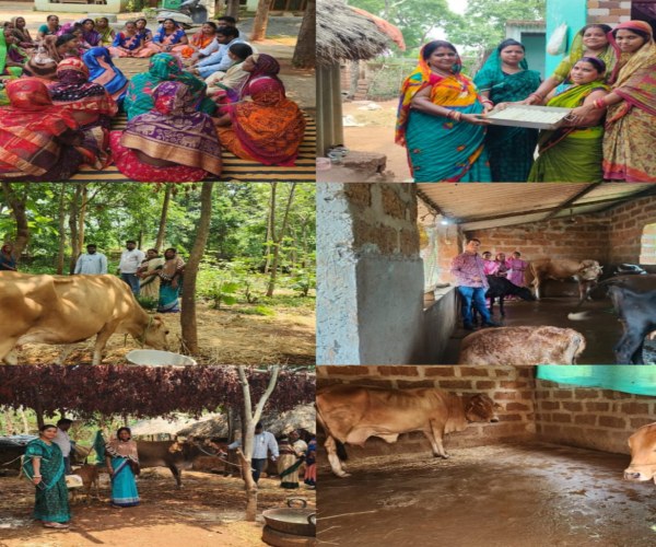 ଦୁଗ୍ଧ ବିପ୍ଳବର ନୂଆ ଠିକଣା ଢେଙ୍କାନାଳ: ‘ମିଲ୍କ ଭିଲେଜ୍’ କାର୍ଯ୍ୟକ୍ରମ ବଦଳାଇଲା ଶହ ଶହ ପରିବାରର ଜୀବନ