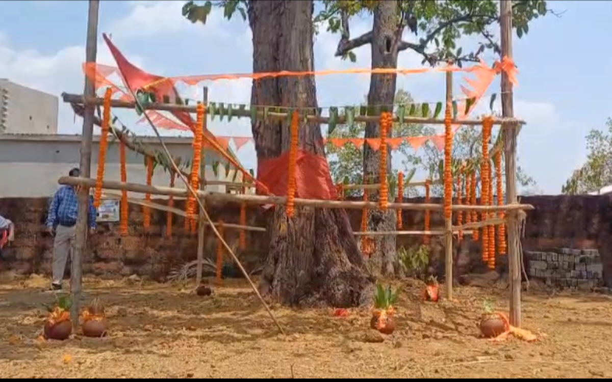 ନୂଆଦିଲ୍ଲୀ ପାଇଁ ପାଲଲହଡ଼ା ଠାରୁ ଯିବ ରଥକାଠ ଦାରୁ । ରୀତି ନୀତିରେ ଆରମ୍ଭ ହେଲା ହୋମଯଜ୍ଞ