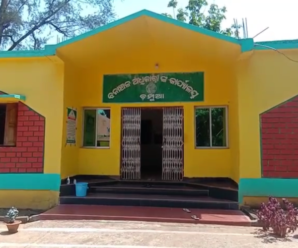 କେନ୍ଦୁଝର ଜିଲ୍ଲାରେ ଦନ୍ତାହାତୀ ଆକ୍ରମଣରେ ଜଣେ ବୃଦ୍ଧମୃତ