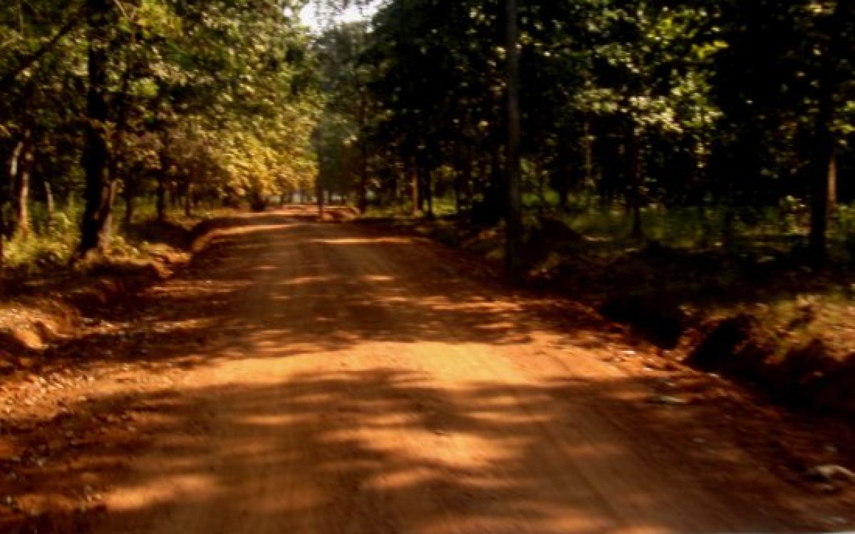 ଅନୁଗୋଳ ଜଙ୍ଗଲରେ ପିକନିକ, ସାମାଜିକ ସମାବେଶ ମନା – ଉପ ଜିଲ୍ଲାପାଳ