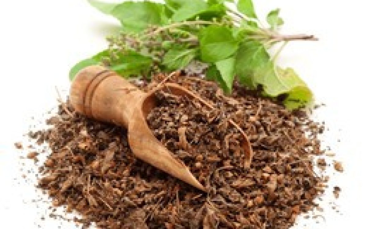 ରାୟଗଡାରେ ଜଡିବୁଟି ବିତରଣ ଦିବସ ପାଳନ